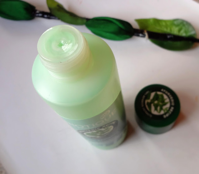Biotique Margosa fresh daily dandruff shampoo and conditioner