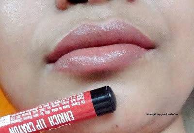 Lakme Enrich Lip Crayons review and swatch Lakme Enrich Lip Crayon in Cinnamon Brown Swatch and LOTD