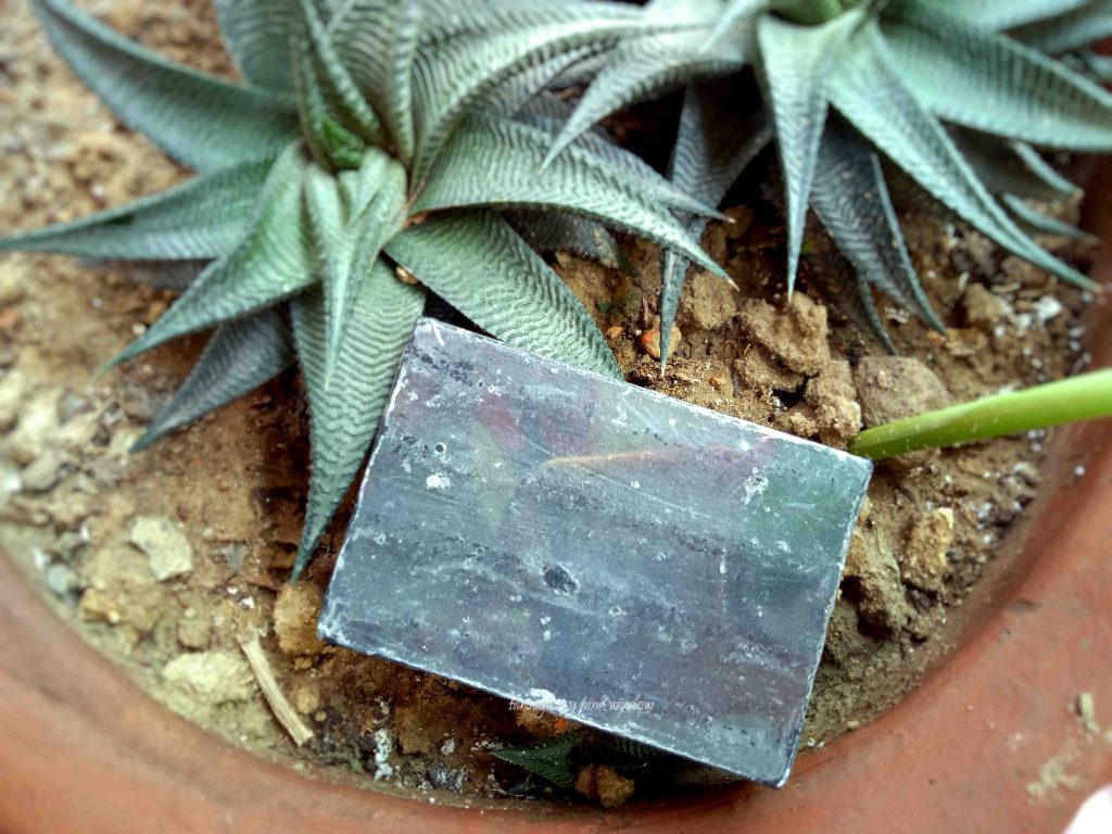 Vya Naturals Activated Charcoal and Cedarwood Soap Review